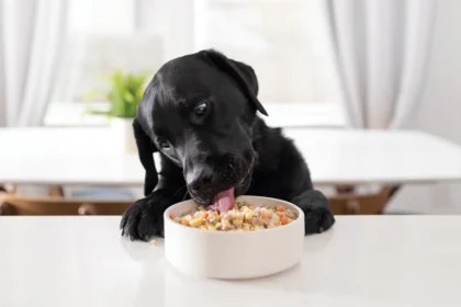 dog foods made in the usa​